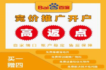 SEM代运营机构案例：关键词优化与广告投放